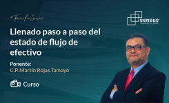 Llenado paso a paso del estado de flujo de efectivo