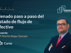Llenado paso a paso del estado de flujo de efectivo