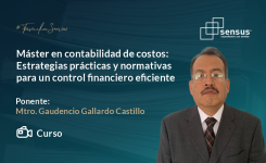 Máster en contabilidad de costos: Estrategias prácticas y normativas para un control financiero eficiente