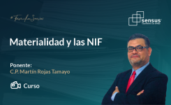 Materialidad y las NIF