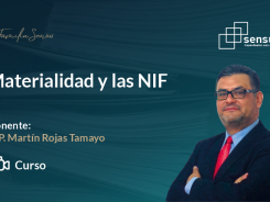 Materialidad y las NIF