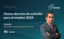 Nuevo decreto de subsidio para el empleo 2024