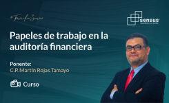 Papeles de trabajo en la auditoria financiera