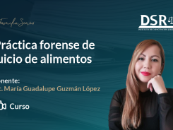 Práctica forense del juicio de alimentos
