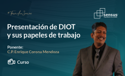 Presentación de DIOT y sus papeles de trabajo
