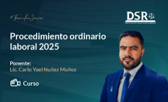 Procedimiento ordinario laboral 2025