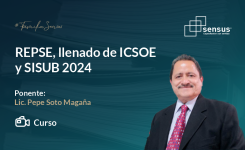 REPSE, llenado de ICSOE y SISUB 2024
