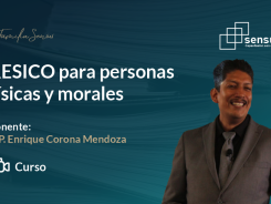 RESICO para personas físicas y morales