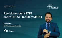 Revisiones de la STPS sobre REPSE, ICSOE y SISUB