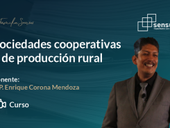 Sociedades cooperativas y de producción rural