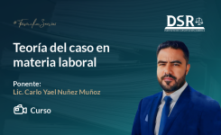 Teoría del caso en materia laboral