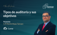 Tipos de auditoria y sus objetivos