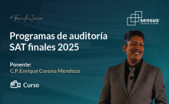 Programas de auditoría SAT finales 2025