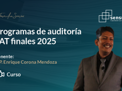 Programas de auditoría SAT finales 2025