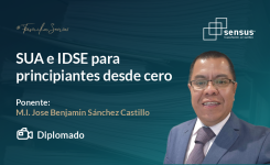 SUA e IDSE para principiantes desde cero