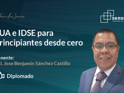 SUA e IDSE para principiantes desde cero