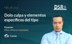 Dolo culpa y elementos específicos del tipo
