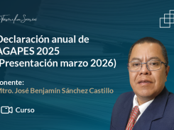 Declaración anual de AGAPES 2025 (Presentación marzo 2026)