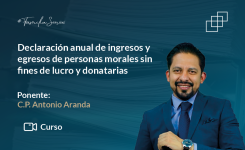 Declaración anual de ingresos y egresos de personas morales sin fines de lucro y donatarias