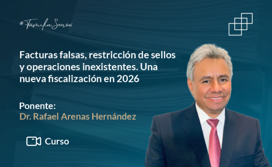 Facturas falsas, restricción de sellos y operaciones inexistentes. Una nueva fiscalización en 2026