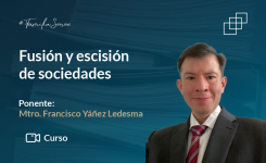 Fusión y escisión de sociedades