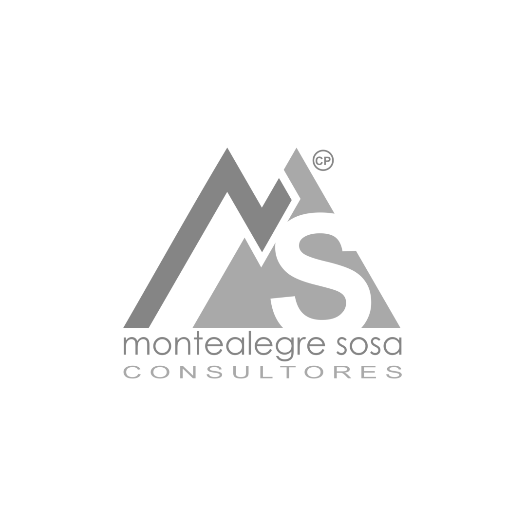 Montealegre Sosa Consultores