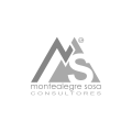 Montealegre Sosa Consultores